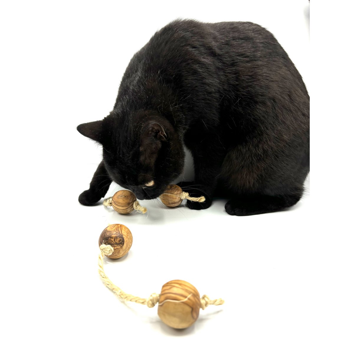 Speelballen van olijfhout met sisal voor kleine honden of katten