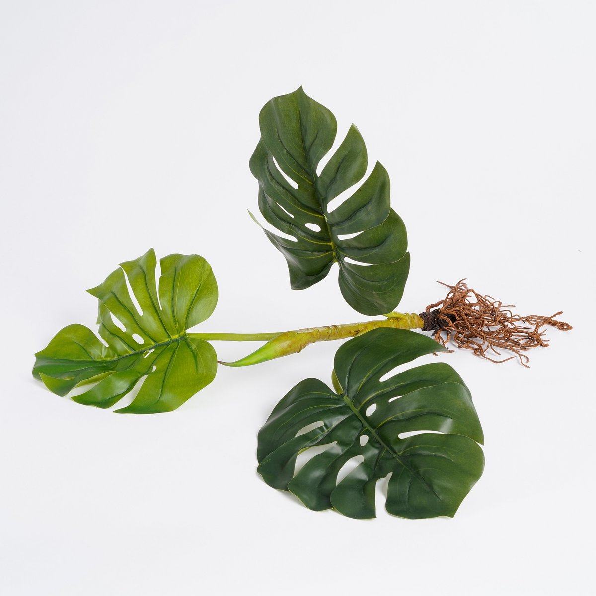 Monstera Kunstplant met wortels