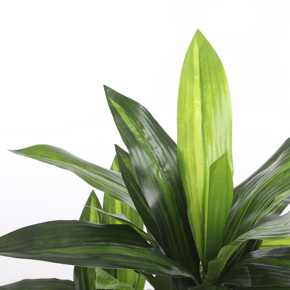 Dracaena Kunstplant