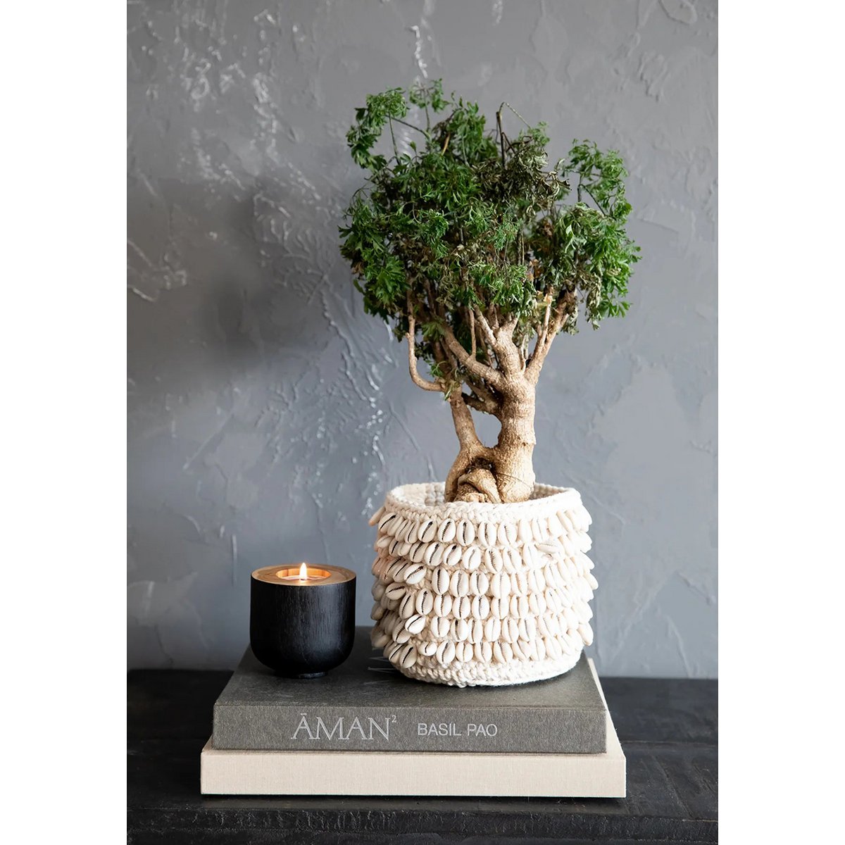 Cowrie Macrame Planter - Naturel