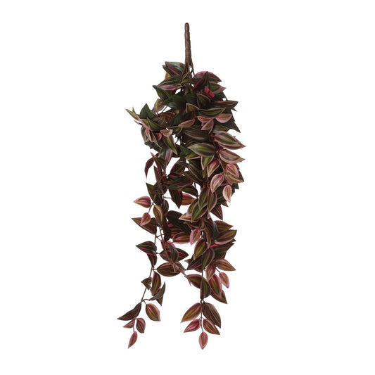 Tradescantia Kunst Hangplant - Bordeaux