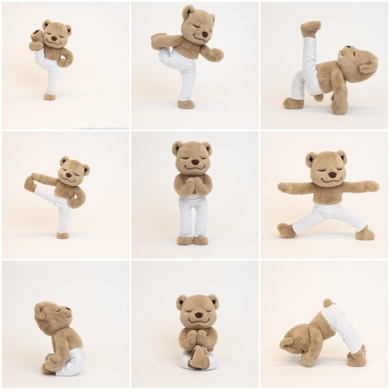 Meddy Teddy, Yoga, Meditatie en Mindfulness Bear