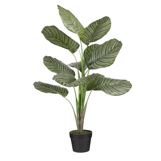 Calathea Orbifolia Kunstplant