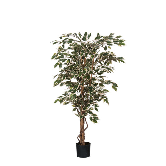 Ficus Kunstplant - M - Groen Bont