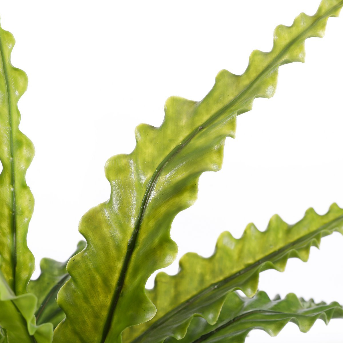 Asplenium Kunstplant in Bloempot Stan