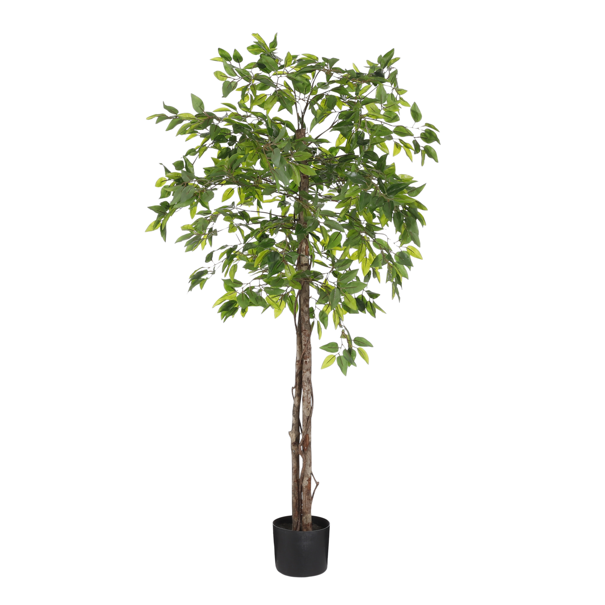 Ficus Kunstplant in Bloempot