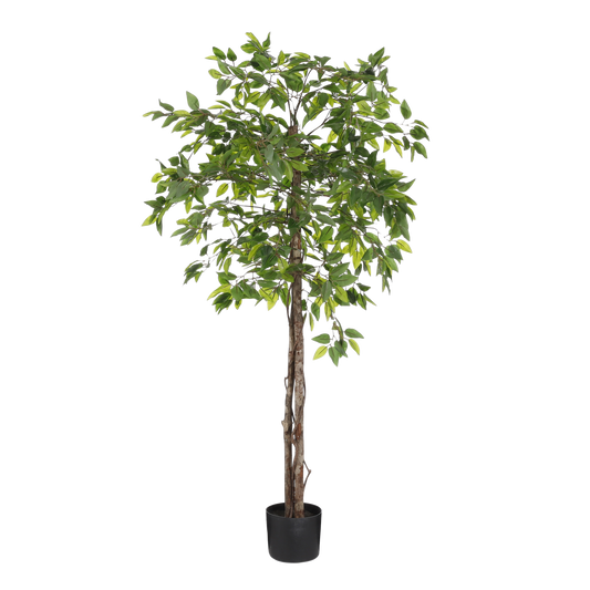 Ficus Kunstplant in Bloempot