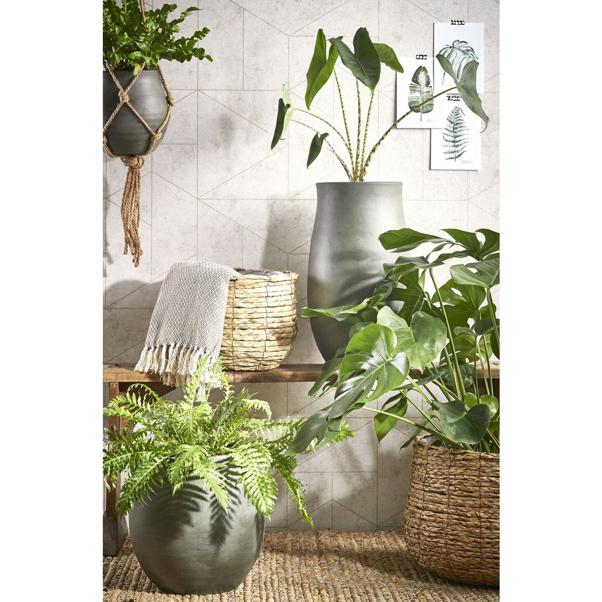 Avalon Plantenmand - S