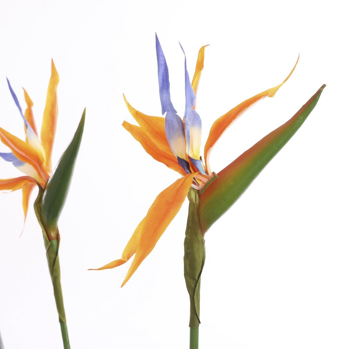 Strelitzia Kunstplant