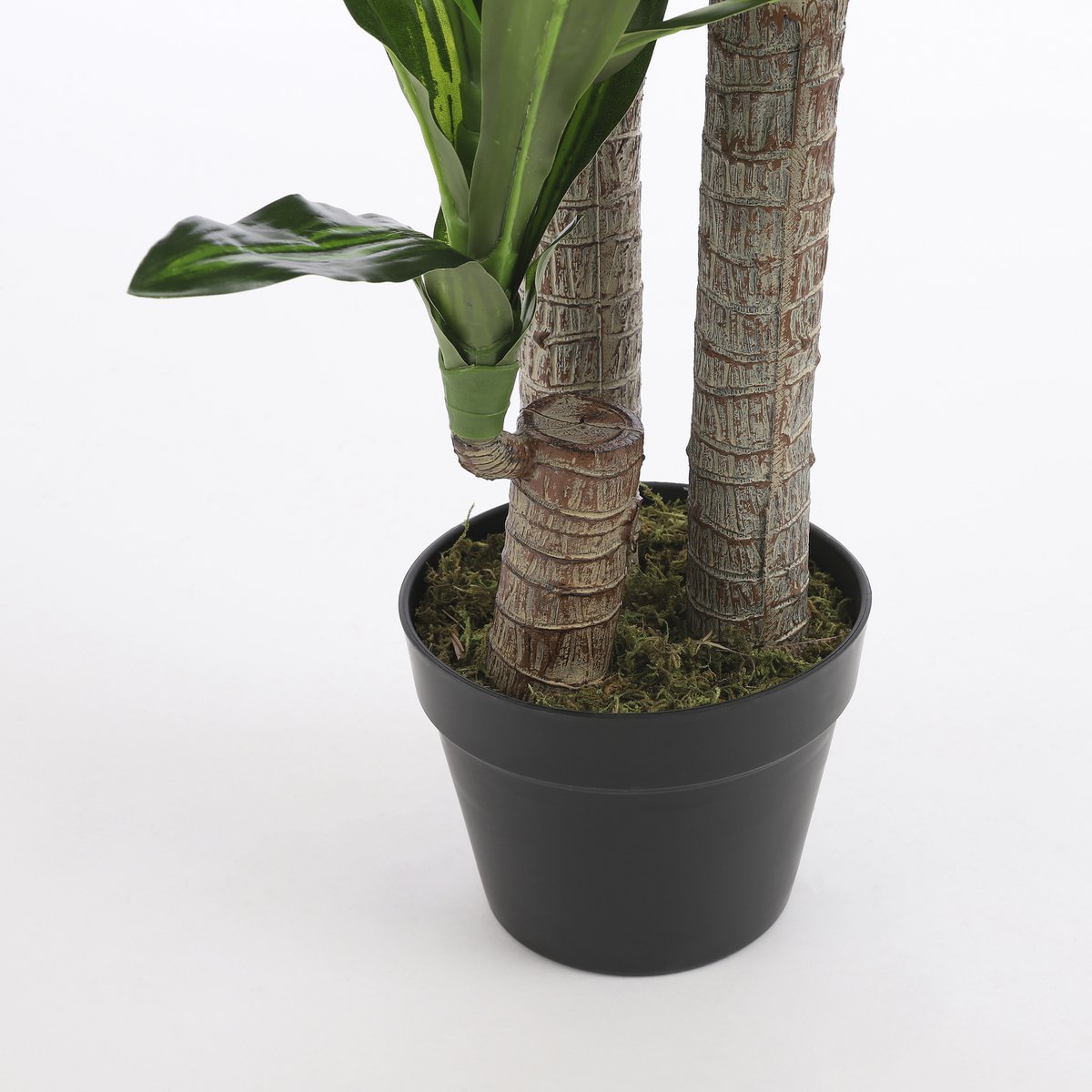 Dracaena Kunstplant