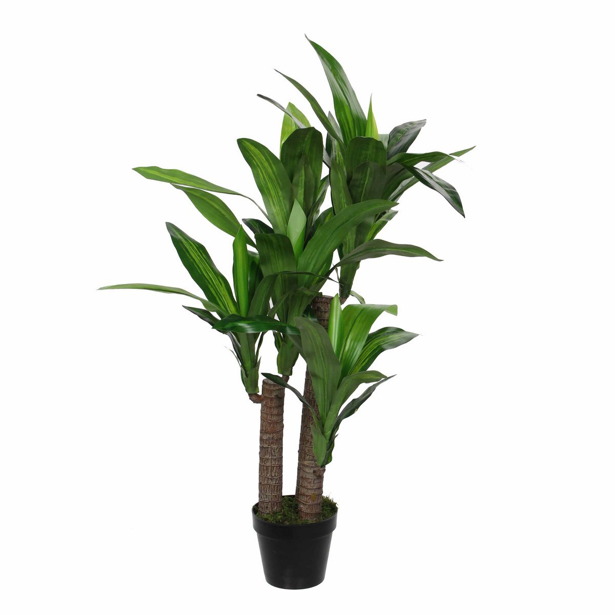 Dracaena Kunstplant