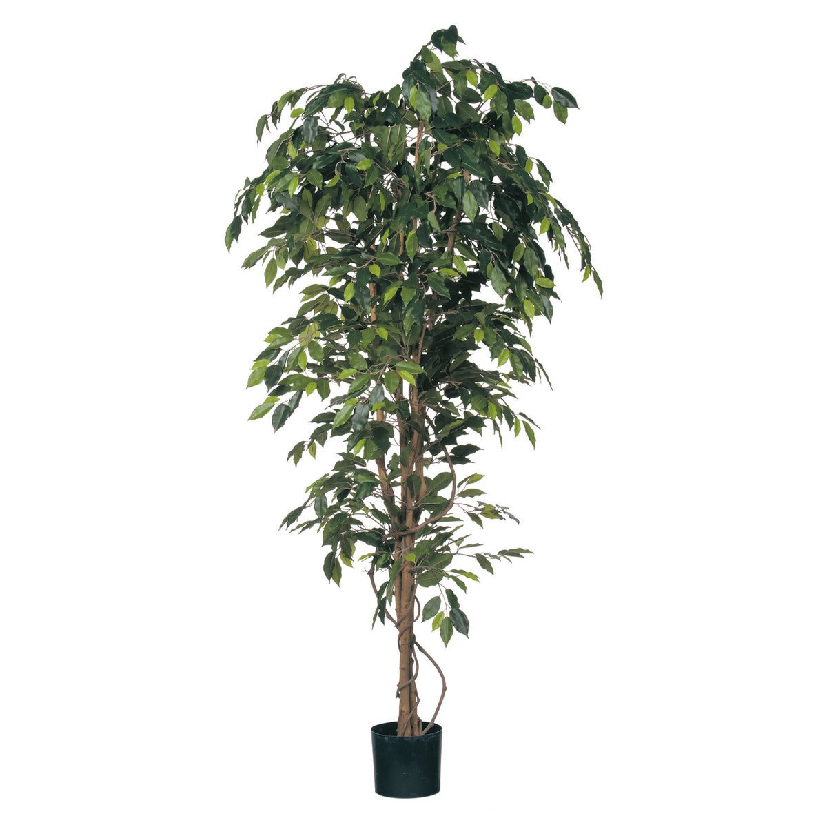 Ficus Kunstplant - XL - donkergroen