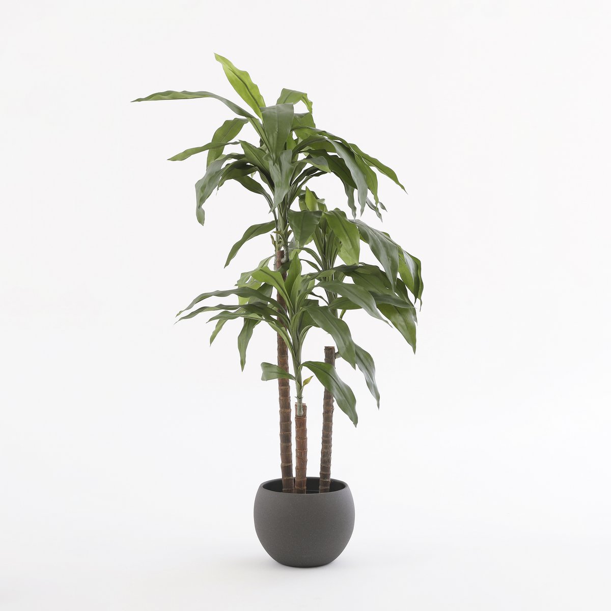 Dracaena Kunstplant