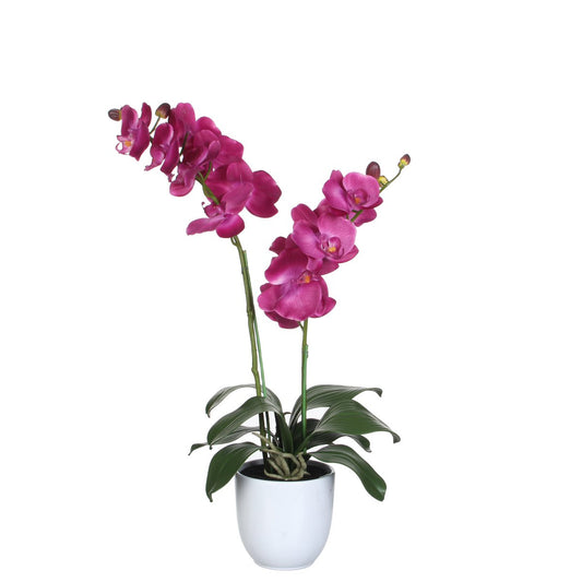 Phalaenopsis Kunstplant in Bloempot Tusca - L - Paars