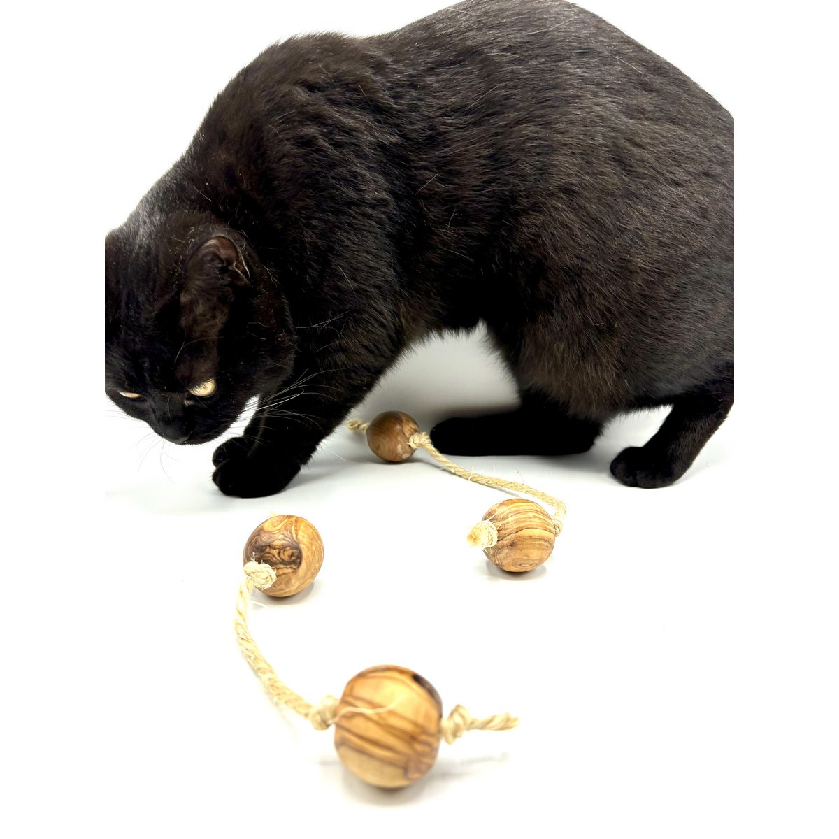 Speelballen van olijfhout met sisal voor kleine honden of katten