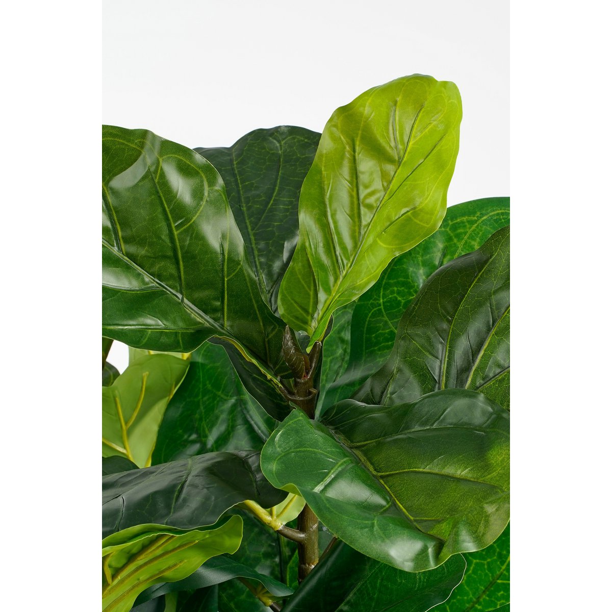 Ficus Lyrata Kunstplant - XL