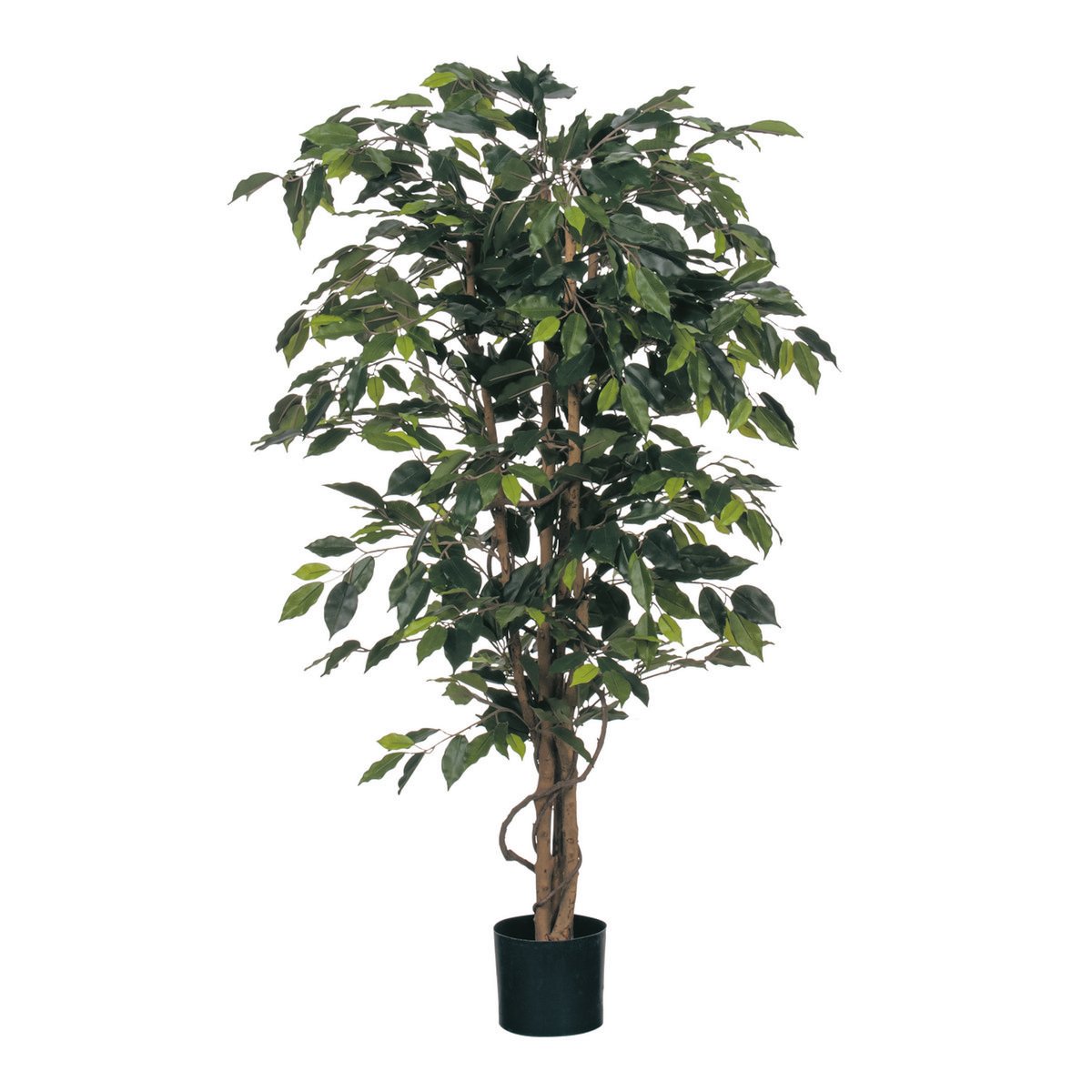 Ficus Kunstplant - M - donkergroen