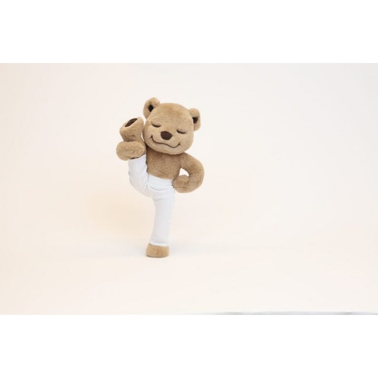 Meddy Teddy, Yoga, Meditatie en Mindfulness Bear