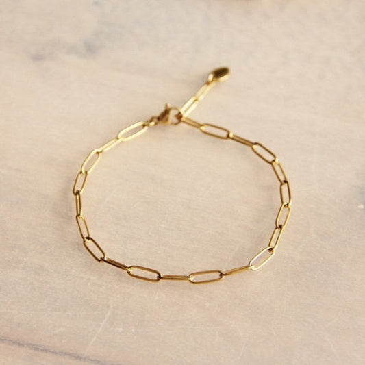 RVS Stalen armband met D-ketting - goud