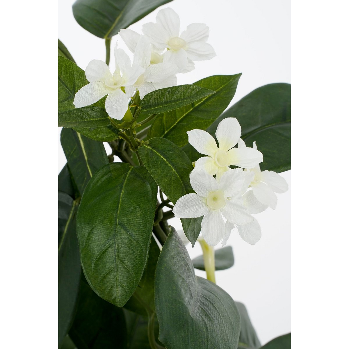 Stephanotis Kunstplant in Bloempot Stan