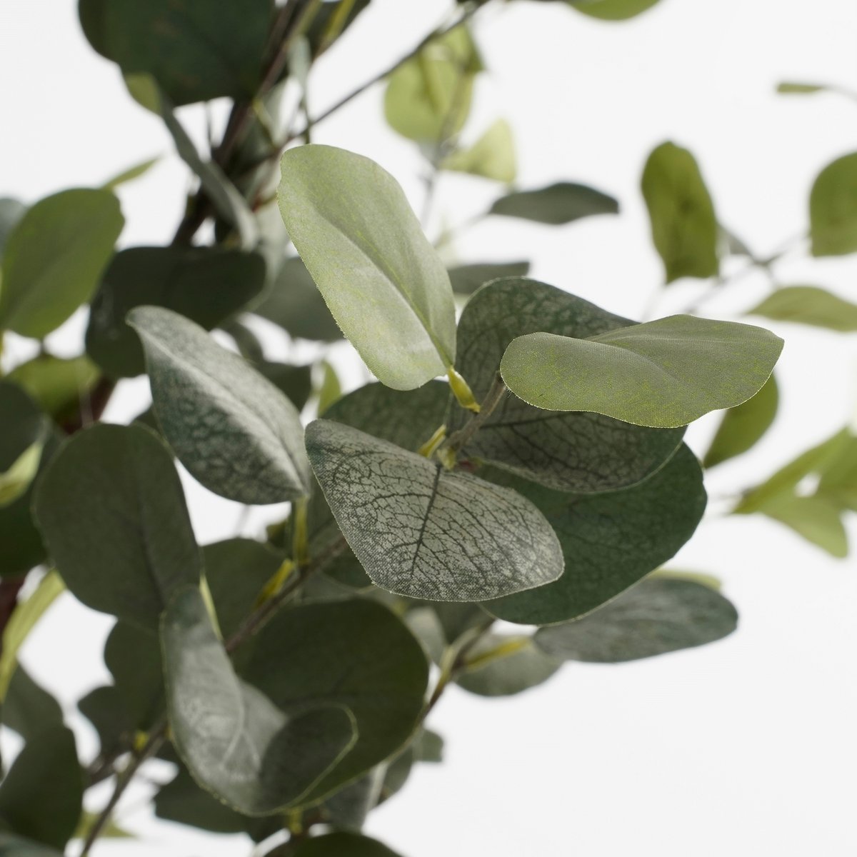 Eucalyptus kunstplant in bloempot - L