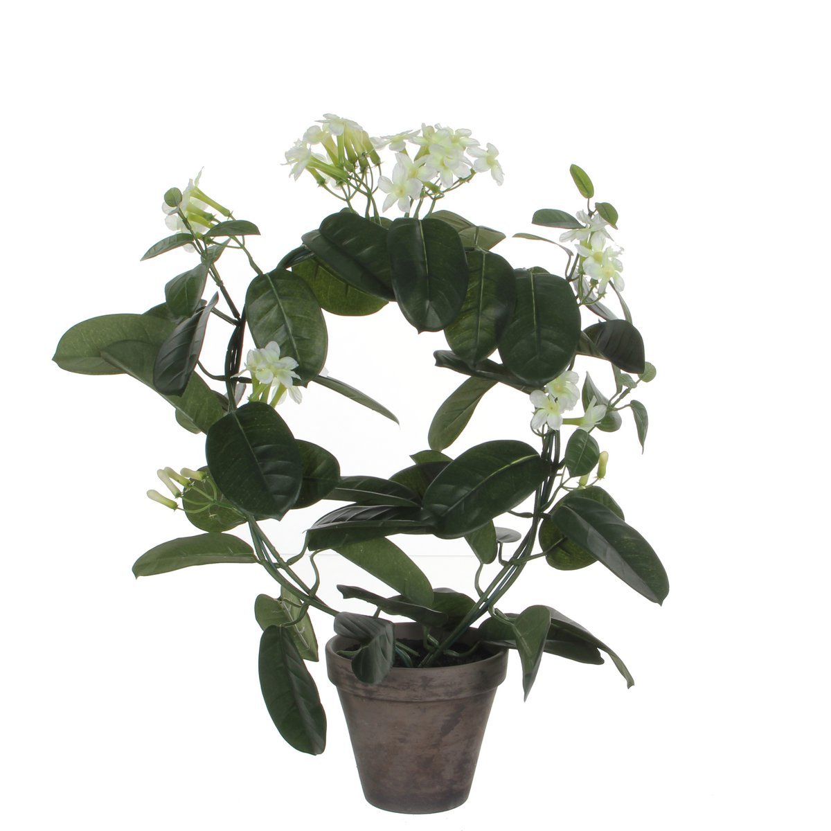 Stephanotis Kunstplant in Bloempot Stan