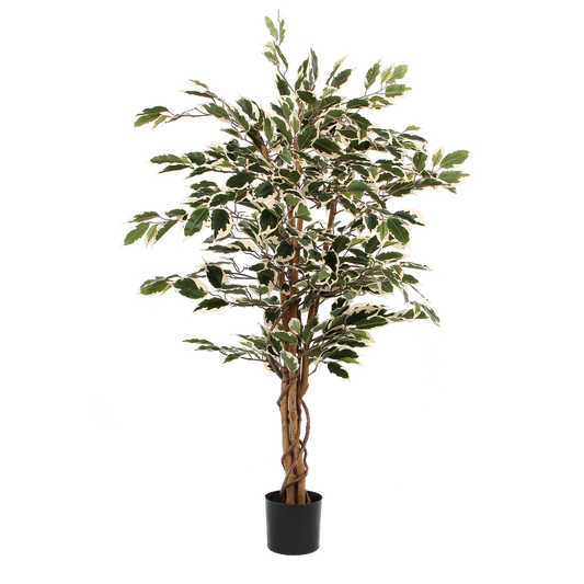 Ficus Kunstplant - S - Groen Bont