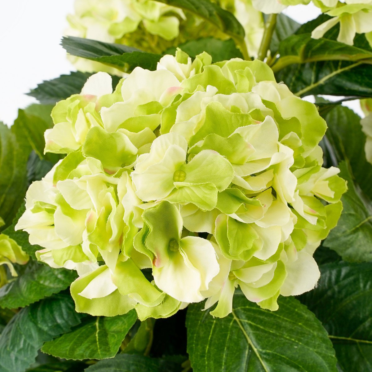 Hortensia Kunstplant in Bloempot Stan - M - Groen