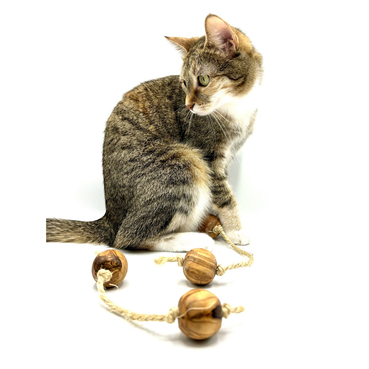 Speelballen van olijfhout met sisal voor kleine honden of katten