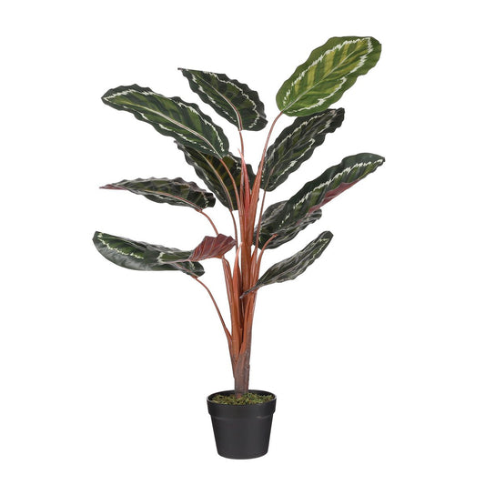 Calathea Roseopicta Kunstplant