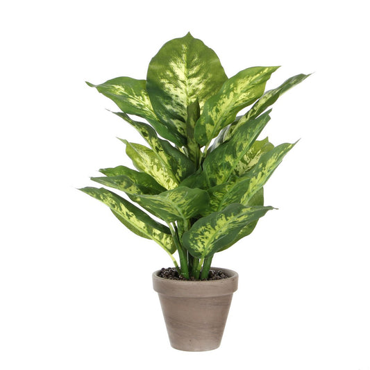 Dieffenbachia Kunstplant in Bloempot Stan - S