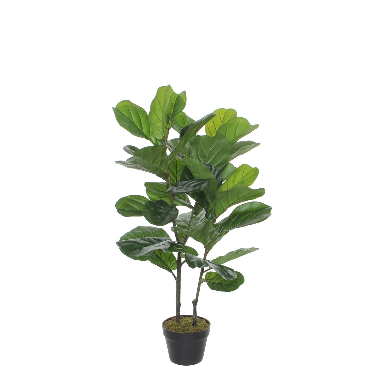 Ficus Lyrata Kunstplant - M