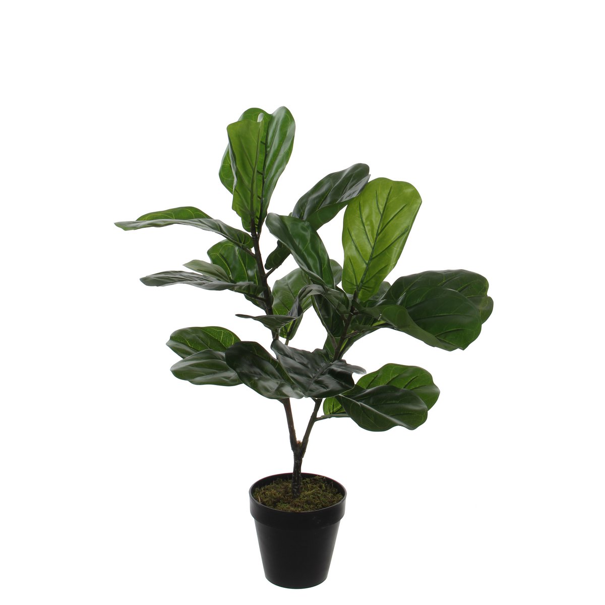 Ficus Lyrata Kunstplant - S