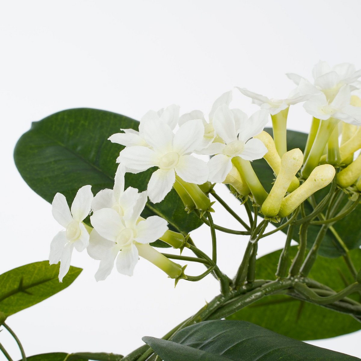 Stephanotis Kunstplant in Bloempot Stan