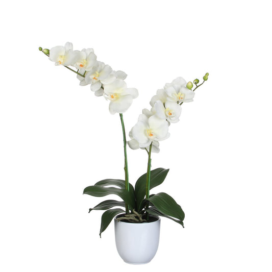 Phalaenopsis Kunstplant in Bloempot Tusca - L - Crème