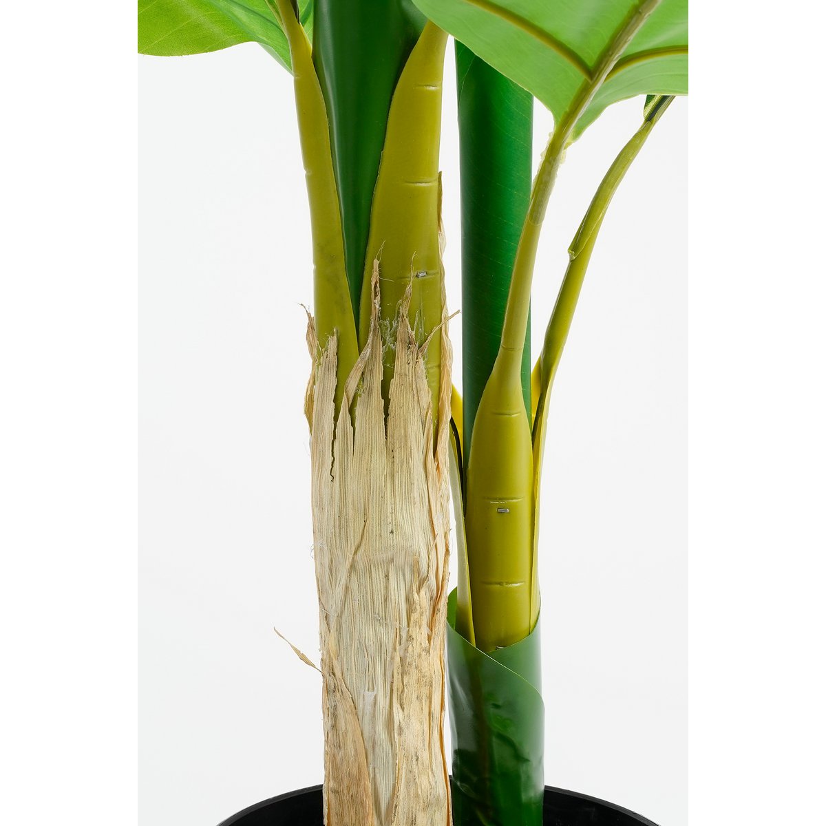 Strelitzia Kunstplant