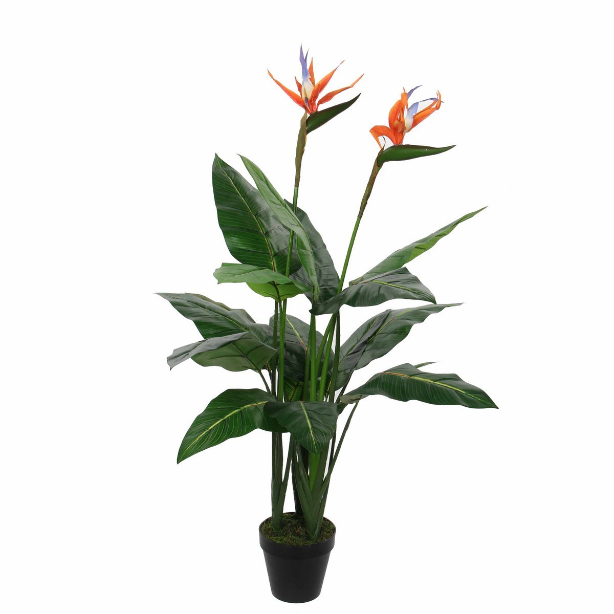 Strelitzia Kunstplant