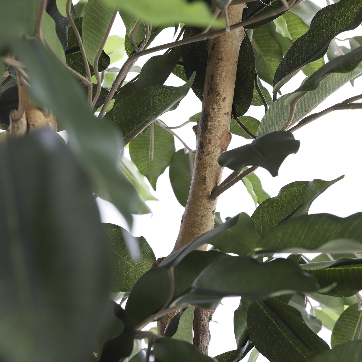 Ficus Kunstplant - L - donkergroen