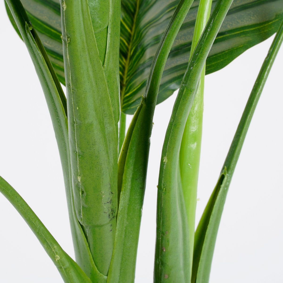 Calathea Orbifolia Kunstplant