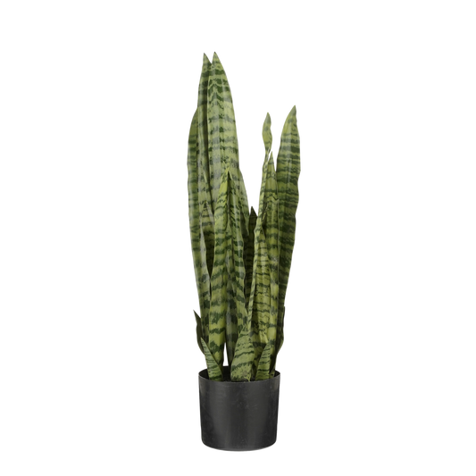 Sanseveria Kunstplant in Bloempot