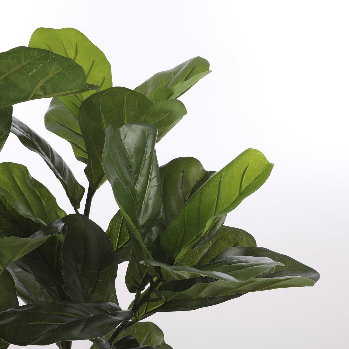 Ficus Lyrata Kunstplant - L