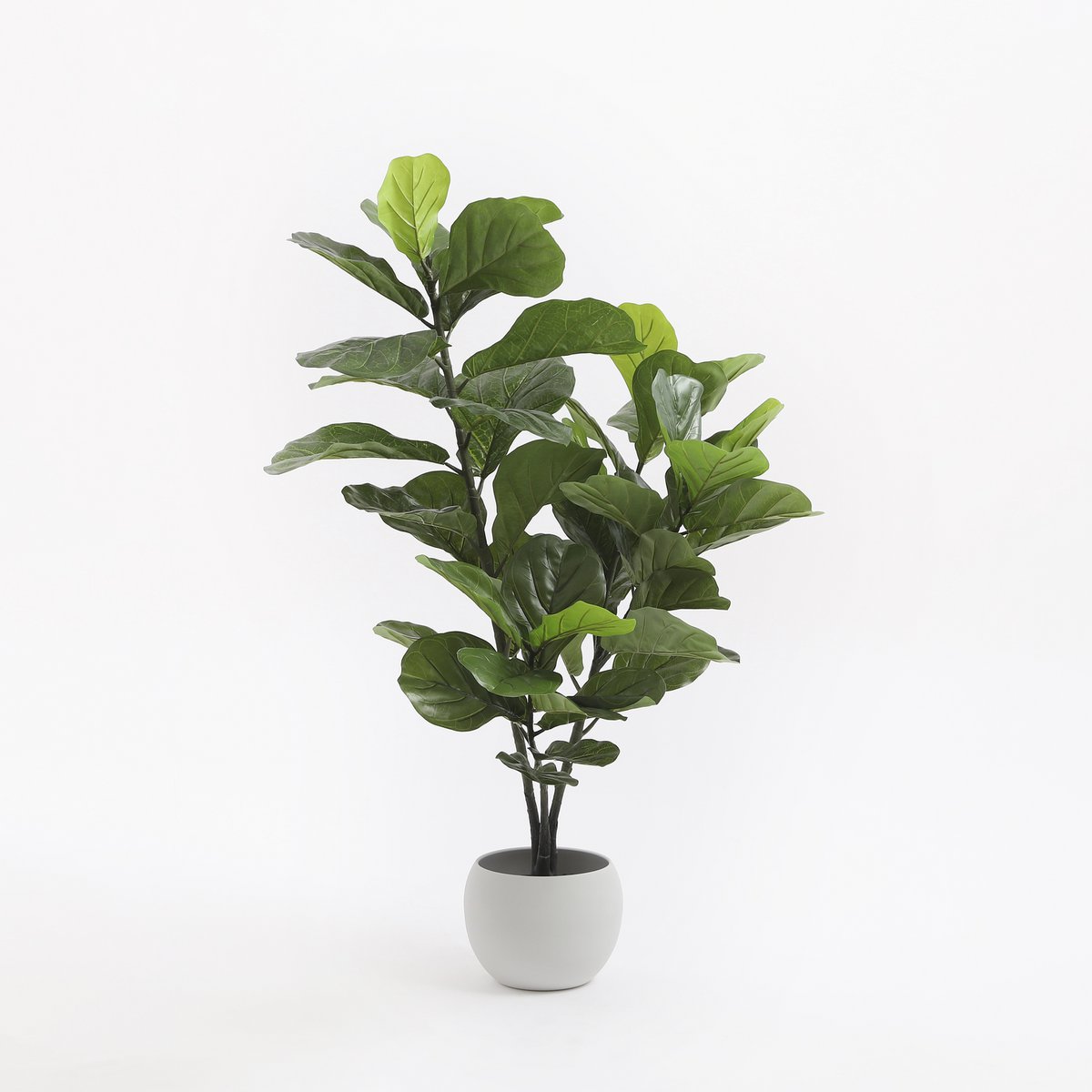 Ficus Lyrata Kunstplant - L