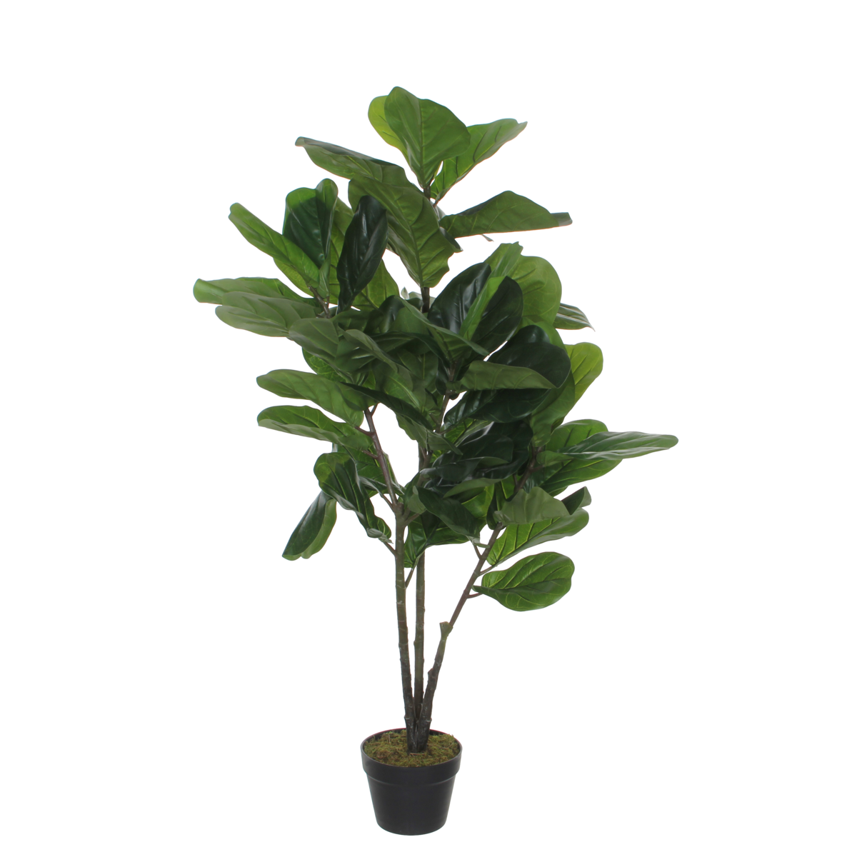 Ficus Lyrata Kunstplant - L