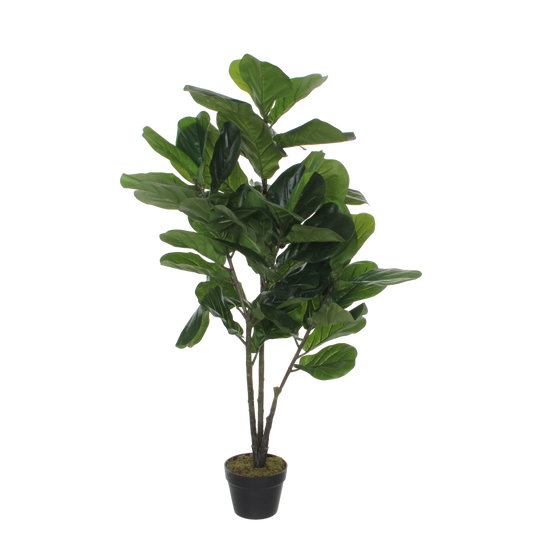 Ficus Lyrata Kunstplant - L